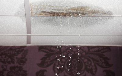 How to Find a Roof Leak