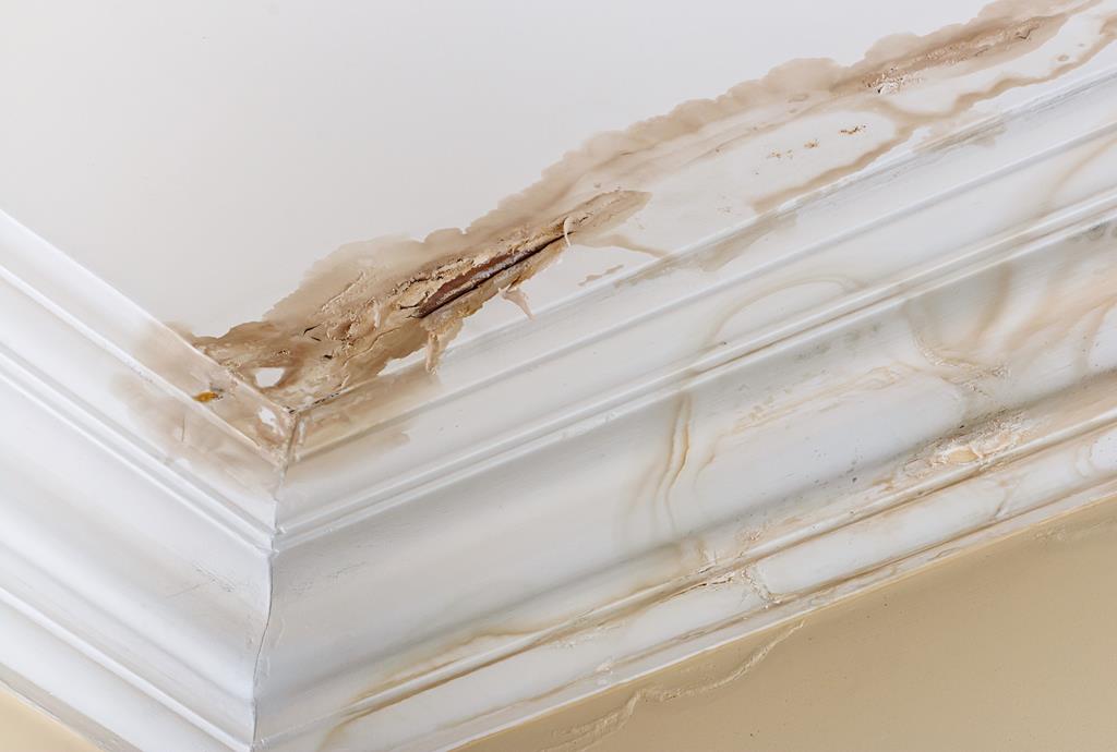 water damaged crown molding and ceiling
