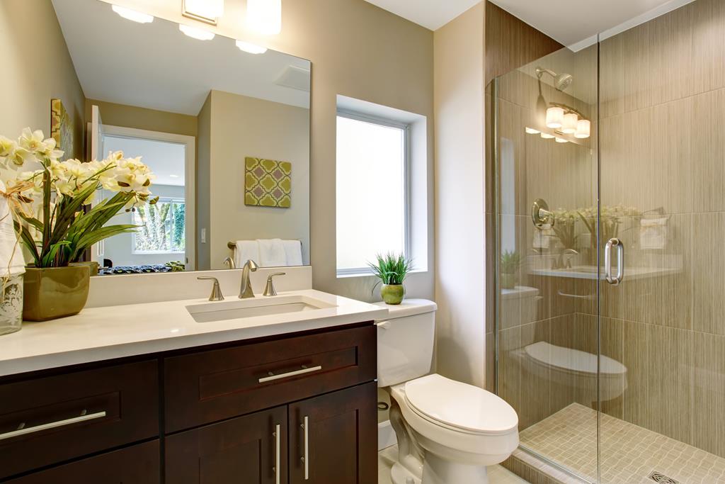 Small bathroom with glass shower, and small plants as decor.